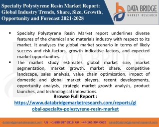 Specialty Polystyrene Resin Market-Chemical Material