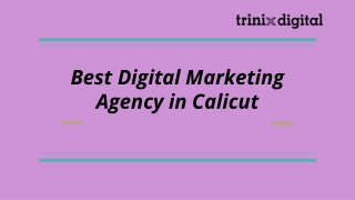 Best Digital Marketing Agency in Calicut
