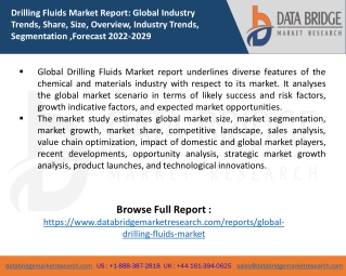 Drilling Fluids Market report