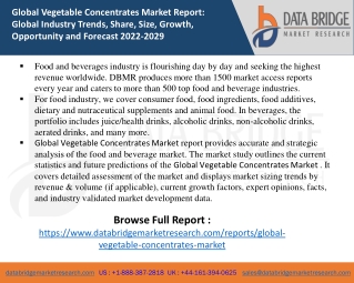 Vegetable Concentrates Market report