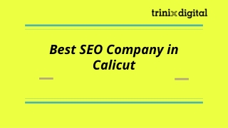 Best SEO Company in Calicut