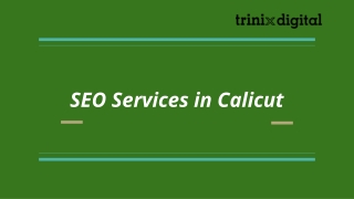 SEO Services in Calicut | 2023