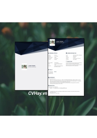CVHay_Kỹ thuật viên phòng Lab