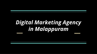 Digital Marketing Agency in Malappuram