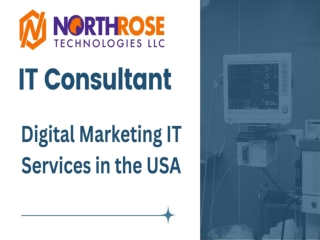 Digital Marketing IT Services in the USA
