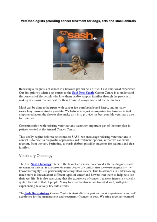 Vet Oncologists providing cancer treatment for dogs, cats and small animals