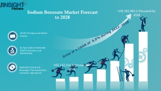 Sodium Benzoate Market Overview and investment Analysis