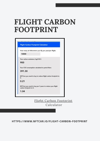 flight carbon footprint