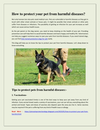How to protect your pet from harmful diseases