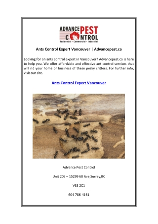 Ants Control Expert Vancouver Advancepest.ca