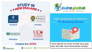 Study In New Zealand: Know About The Essential Things