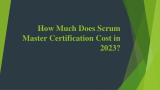 Online Scrum Master Course