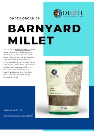 Barnyard Millet