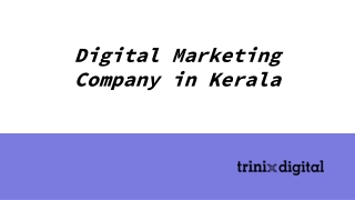 Digital Marketing Company in Kerala