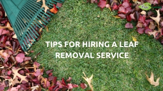 Tips for Hiring a Leaf Removal Service