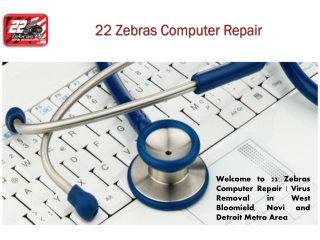 22 Zebras Computer Repair