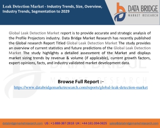Leak Detection Market report