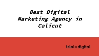 Best Digital Marketing Agency in Calicut