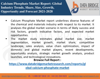 Calcium Phosphate Market-Chemical Material