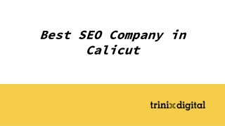 Best SEO Company in Calicut