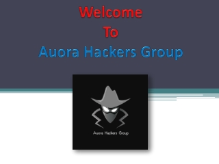 Auora Hackers Group