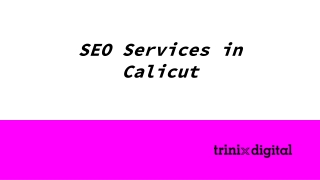 SEO Services in Calicut