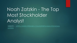 Noah Zatzkin - The Top Most Stockholder Analyst