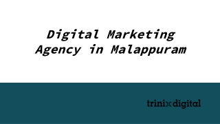 Digital Marketing Agency in Malappuram