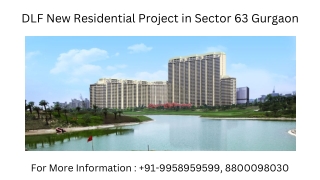 DLF Sector 63 new residential launch, DLF Sector 63 Residential 3 bhk Apartment