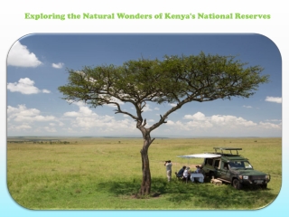 Exploring the Natural Wonders of Kenya's National Reserves