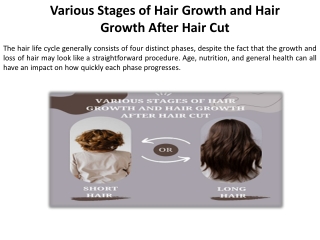 Developmental Stages of Post-Cut Hair Growth