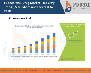 Endocarditis Drug Market