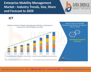 Enterprise Mobility Management Market