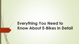 Everything You Need to Know About E-Bikes in Detail