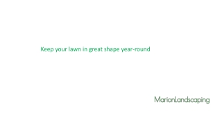 Get Good Landscape services for your place through Marion landscaping