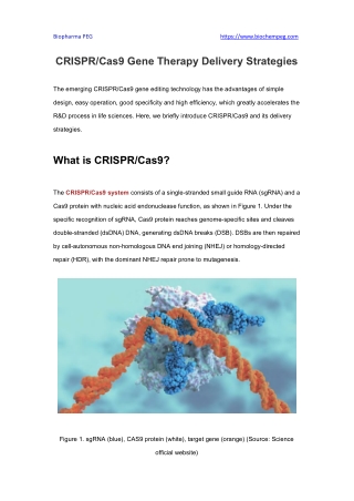 CRISPRCas9 Gene Therapy Delivery Strategies