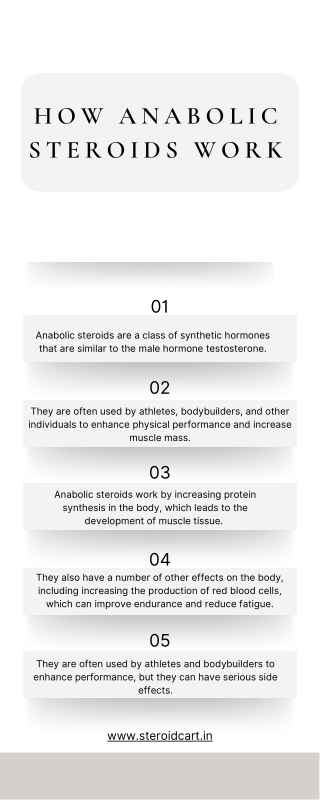 how anabolic steroids work