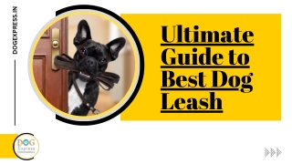 Best Dog Leash Guide
