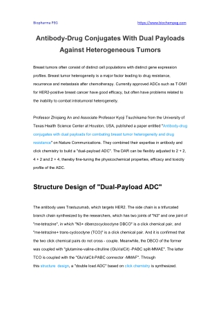 Antibody-Drug Conjugates With Dual Payloads Against Heterogeneous Tumors