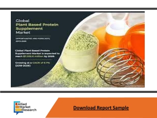 Plant Based Protein Market