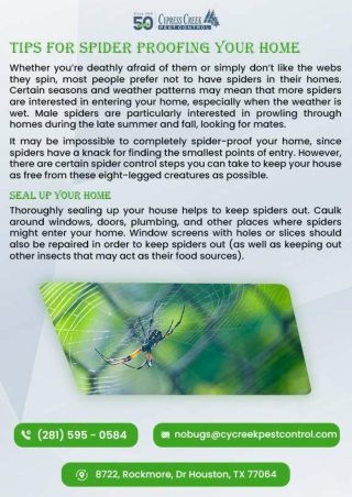Pest Control Agency Houston spider Cycreek