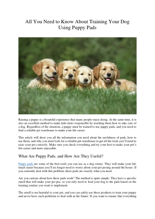 All You Need to Know About Training Your Dog Using Puppy Pads