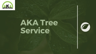 AKA Tree Service: The Best Tree Trimming Company in Athens