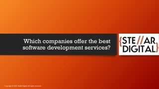 Which companies offer the best software development services