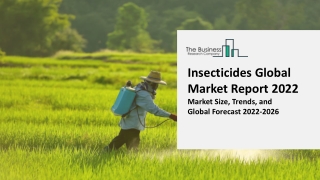 Insecticides Market