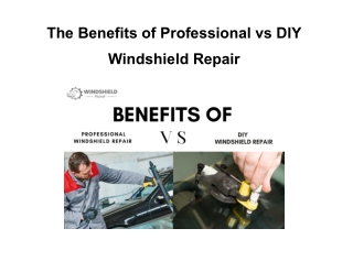 The Benefits of Professional vs DIY Windshield Repair