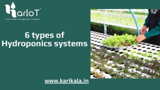 What are the six different varieties of hydroponic systems?