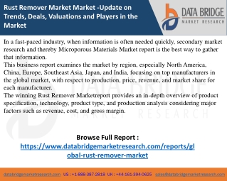 global-rust-remover-market
