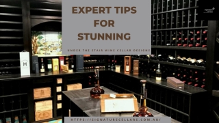 Expert Tips For Stunning Under The Stair Wine Cellar Designs