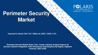 Perimeter Security Market